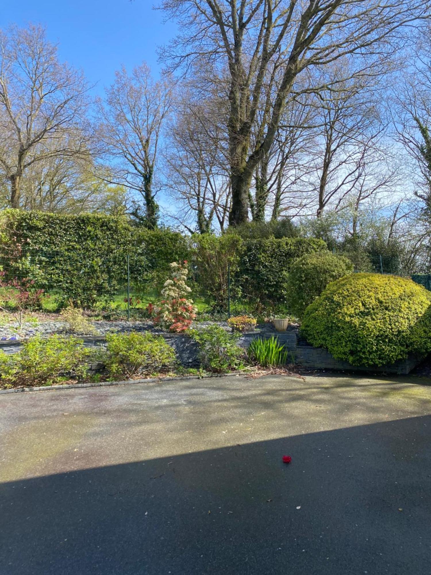 Studio, Sur Le Chemin Des Hortensias 普罗尔梅尔 外观 照片